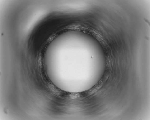 X0000096410762200801241025