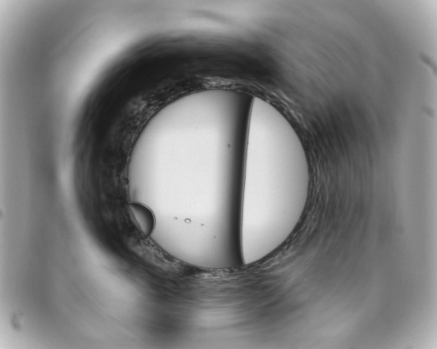 X0000096410763200801241025