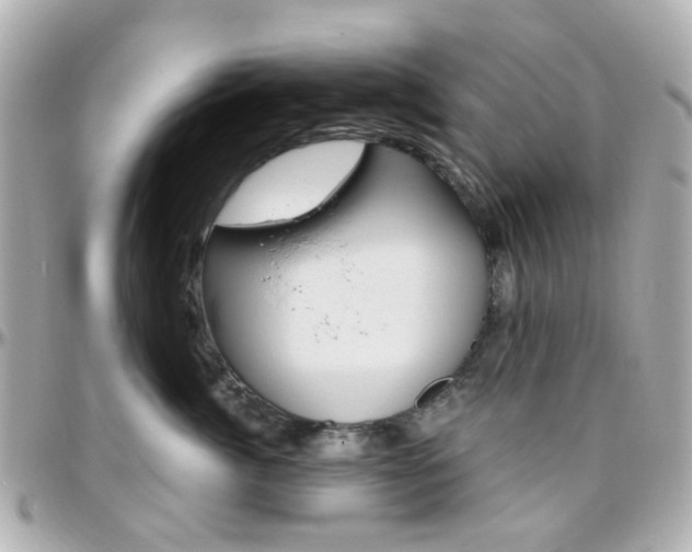 X0000096410764200801241025