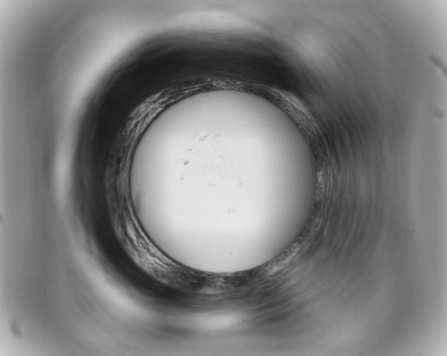 X0000096410765200801241025
