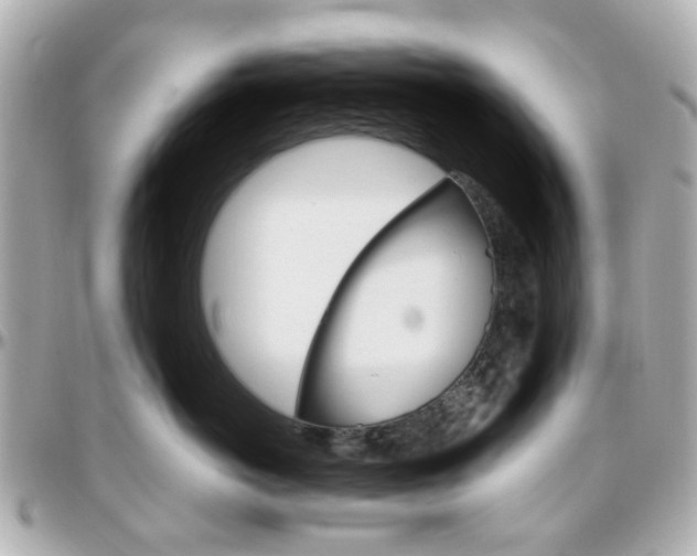 X0000096410766200801241025