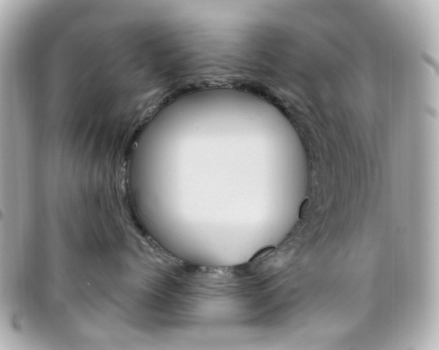 X0000096410768200801241025