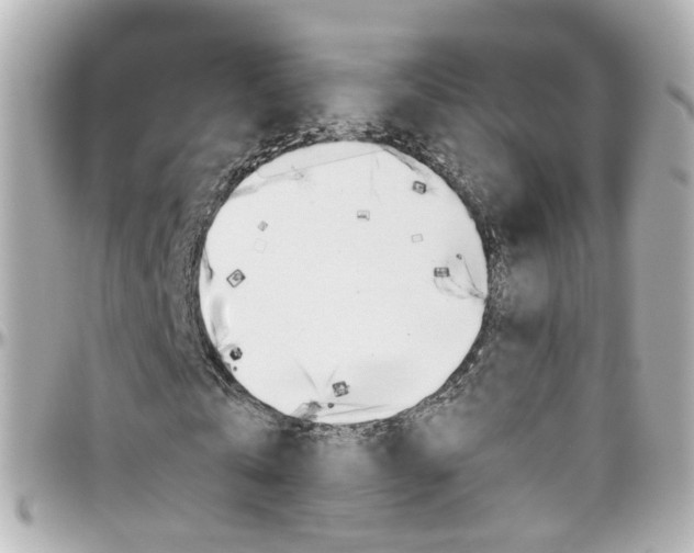 X0000096410769200801241025