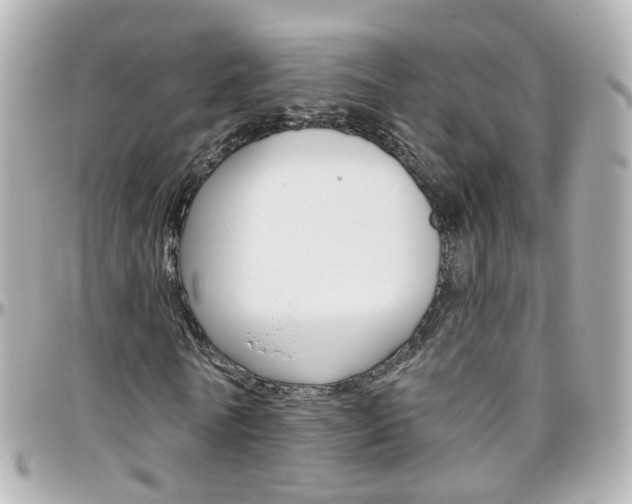 X0000096410770200801241024