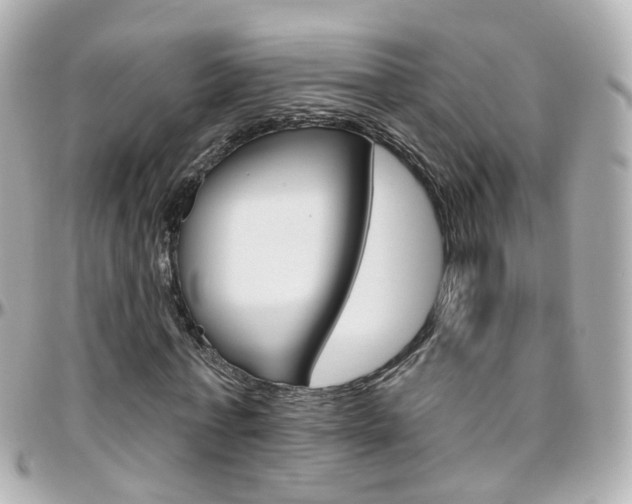 X0000096410771200801241024
