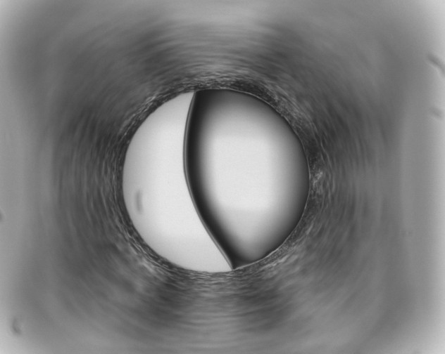 X0000096410772200801241024
