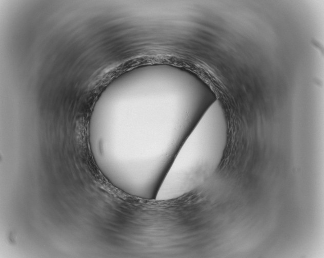 X0000096410773200801241024