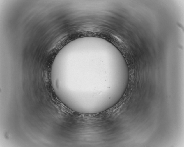 X0000096410774200801241024