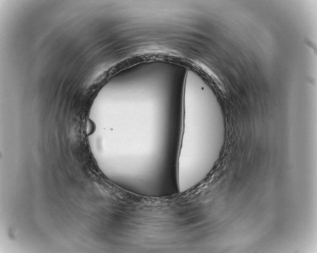 X0000096410775200801241024