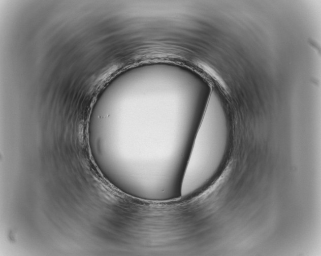 X0000096410777200801241024