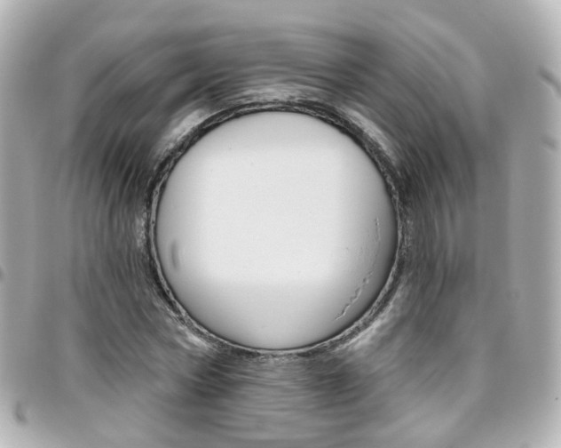 X0000096410778200801241024