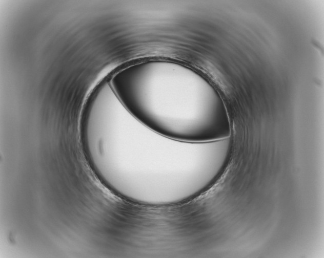 X0000096410780200801241024