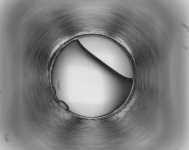 X0000096410781200801241024