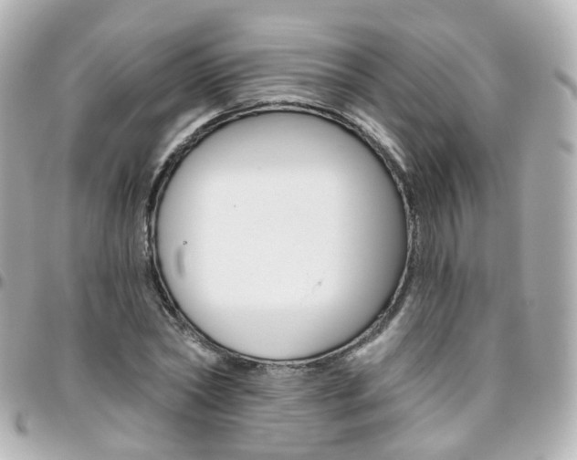 X0000096410782200801241024