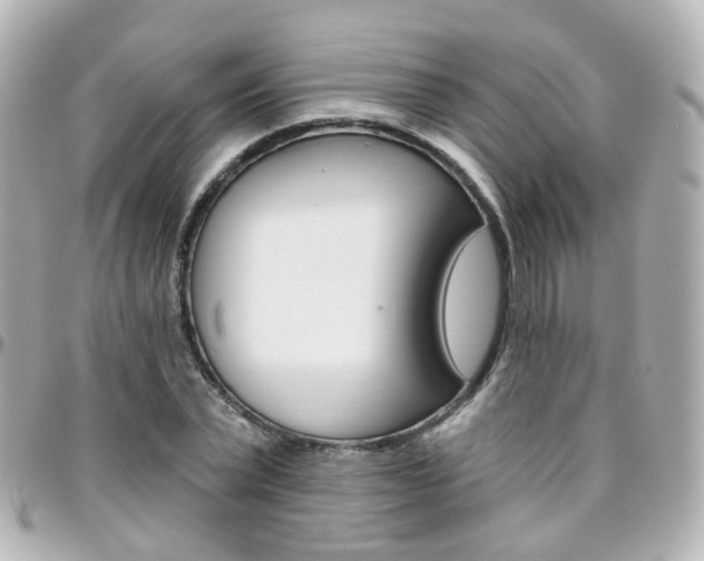 X0000096410783200801241024