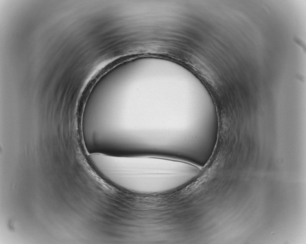 X0000096410784200801241024