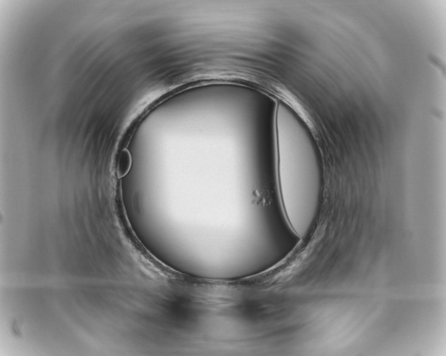 X0000096410787200801241024