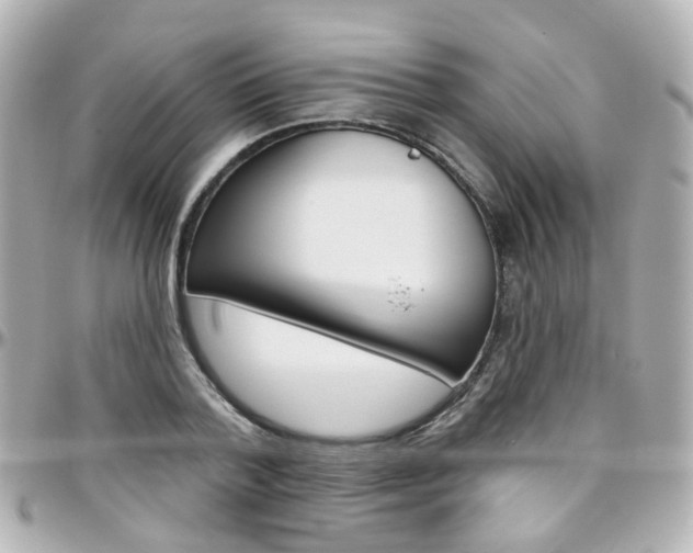 X0000096410788200801241024