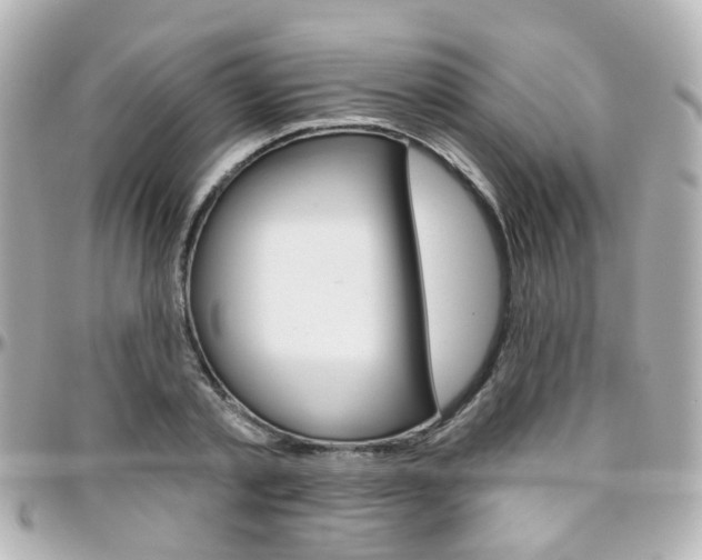 X0000096410789200801241024