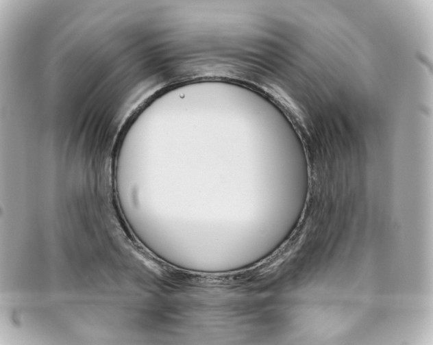 X0000096410790200801241024