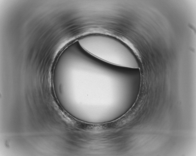 X0000096410791200801241024