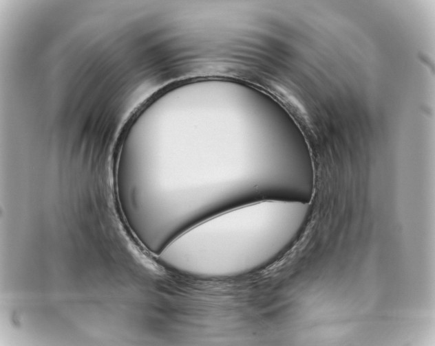 X0000096410792200801241024