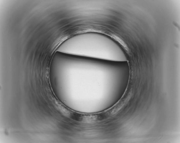 X0000096410793200801241024