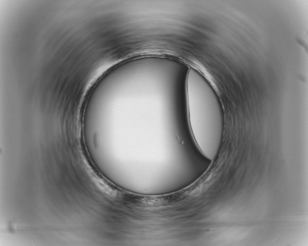 X0000096410795200801241024