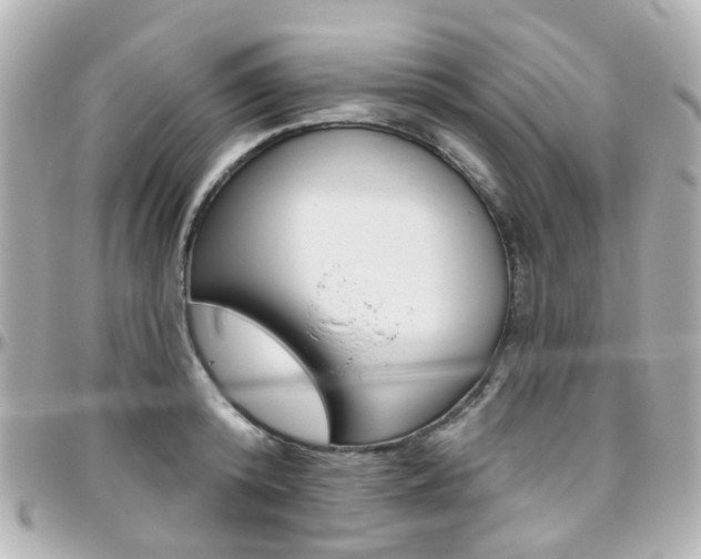 X0000096410800200801241024