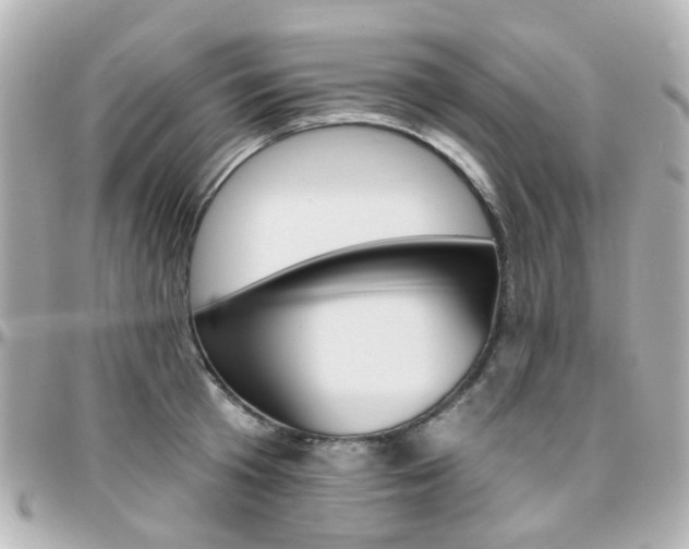 X0000096410801200801241024