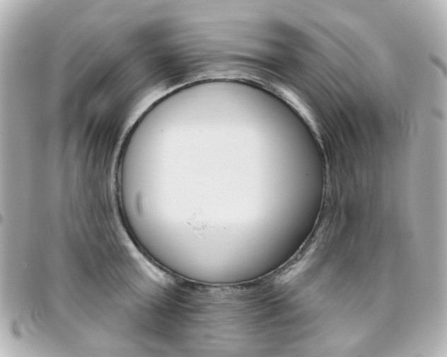 X0000096410803200801241024