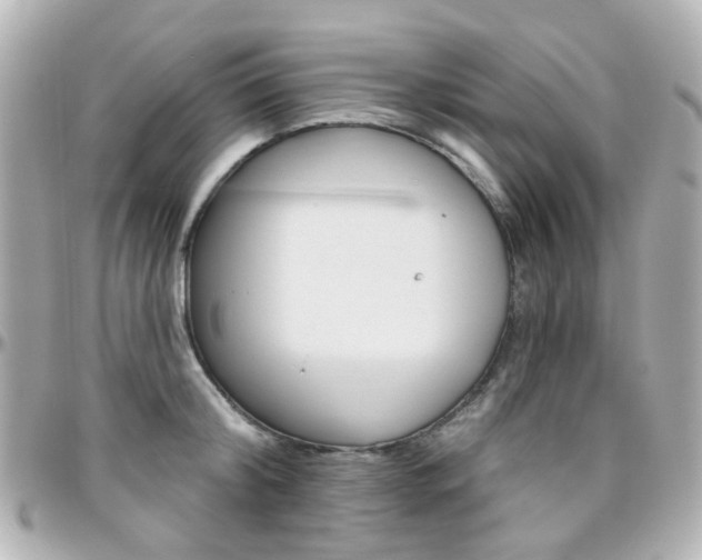 X0000096410804200801241024