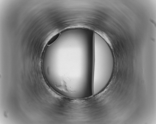 X0000096410805200801241024