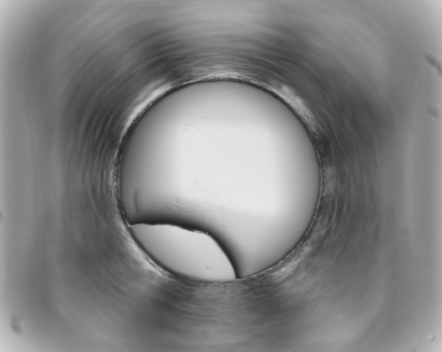 X0000096410806200801241024