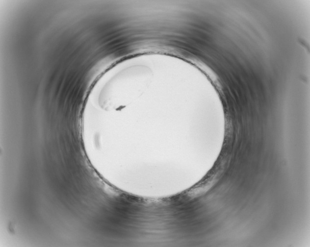 X0000096410807200801241024