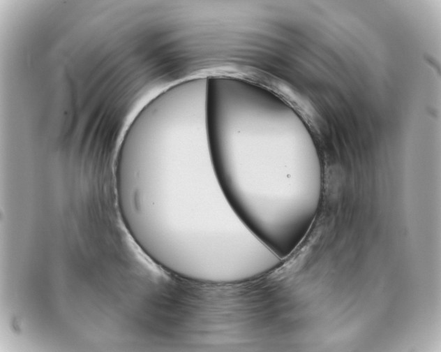 X0000096410808200801241024