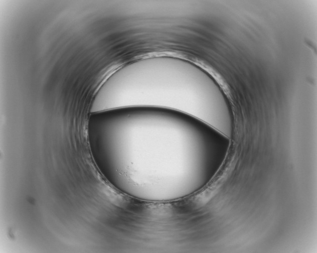 X0000096410809200801241024