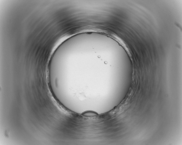 X0000096410811200801241024