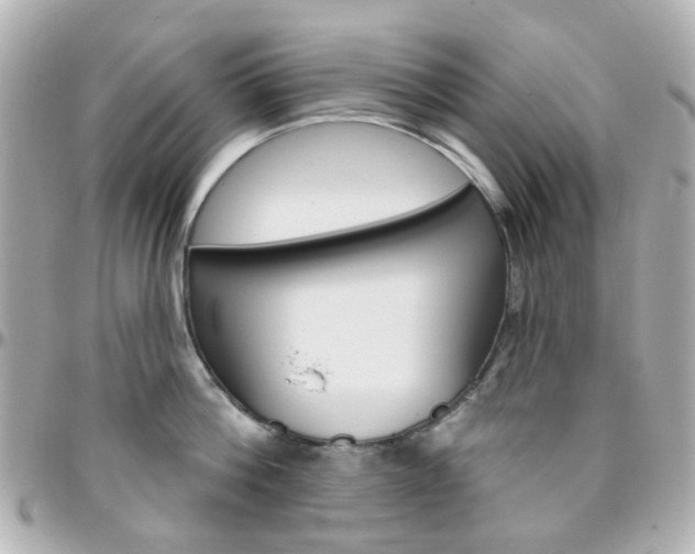 X0000096410812200801241024
