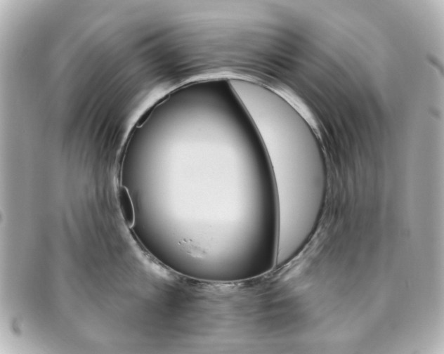 X0000096410813200801241024