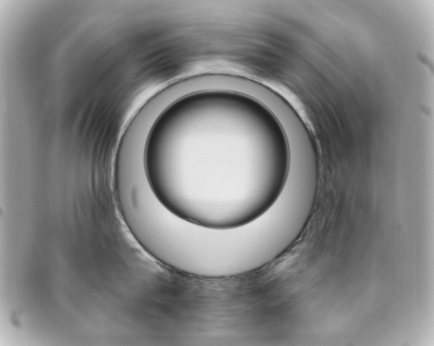 X0000096410815200801241024