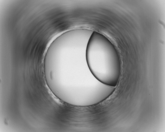X0000096410816200801241024