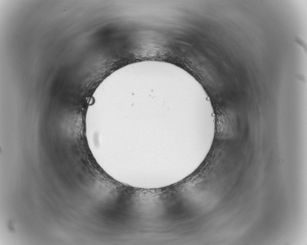 X0000096410820200801241023