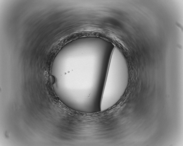 X0000096410821200801241023