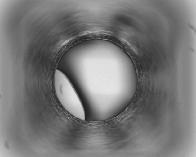 X0000096410822200801241023