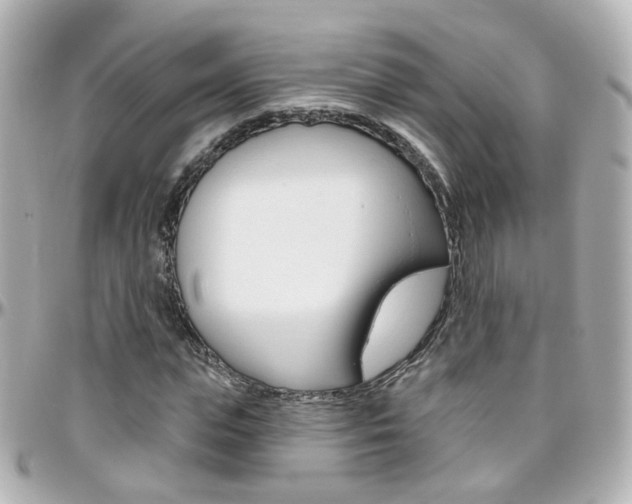 X0000096410823200801241023
