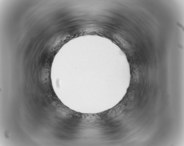 X0000096410824200801241023
