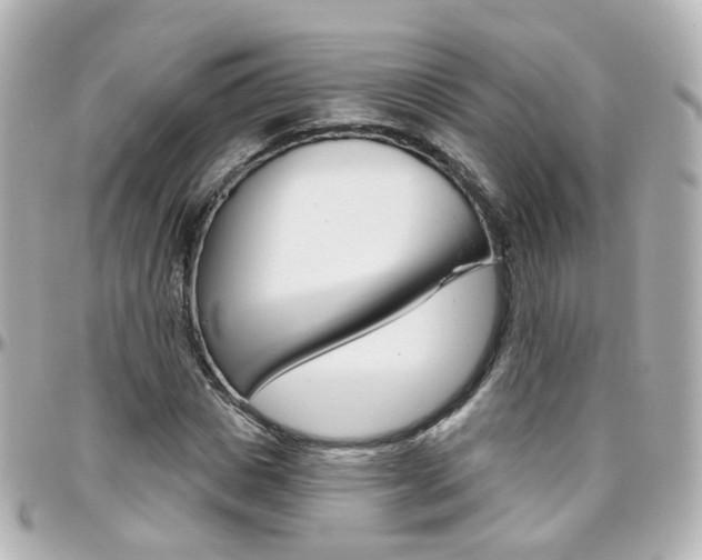 X0000096410825200801241023
