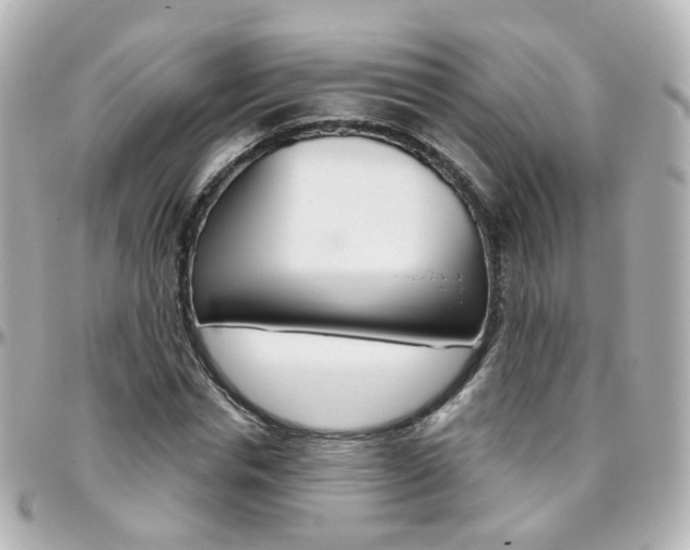 X0000096410826200801241023