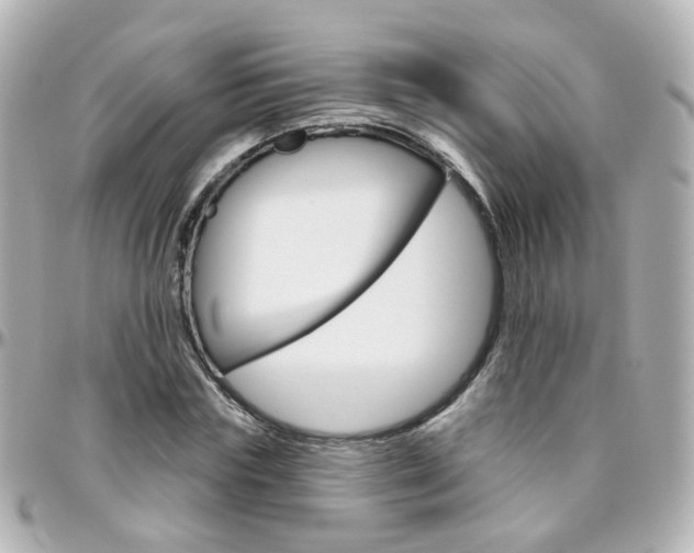 X0000096410827200801241023